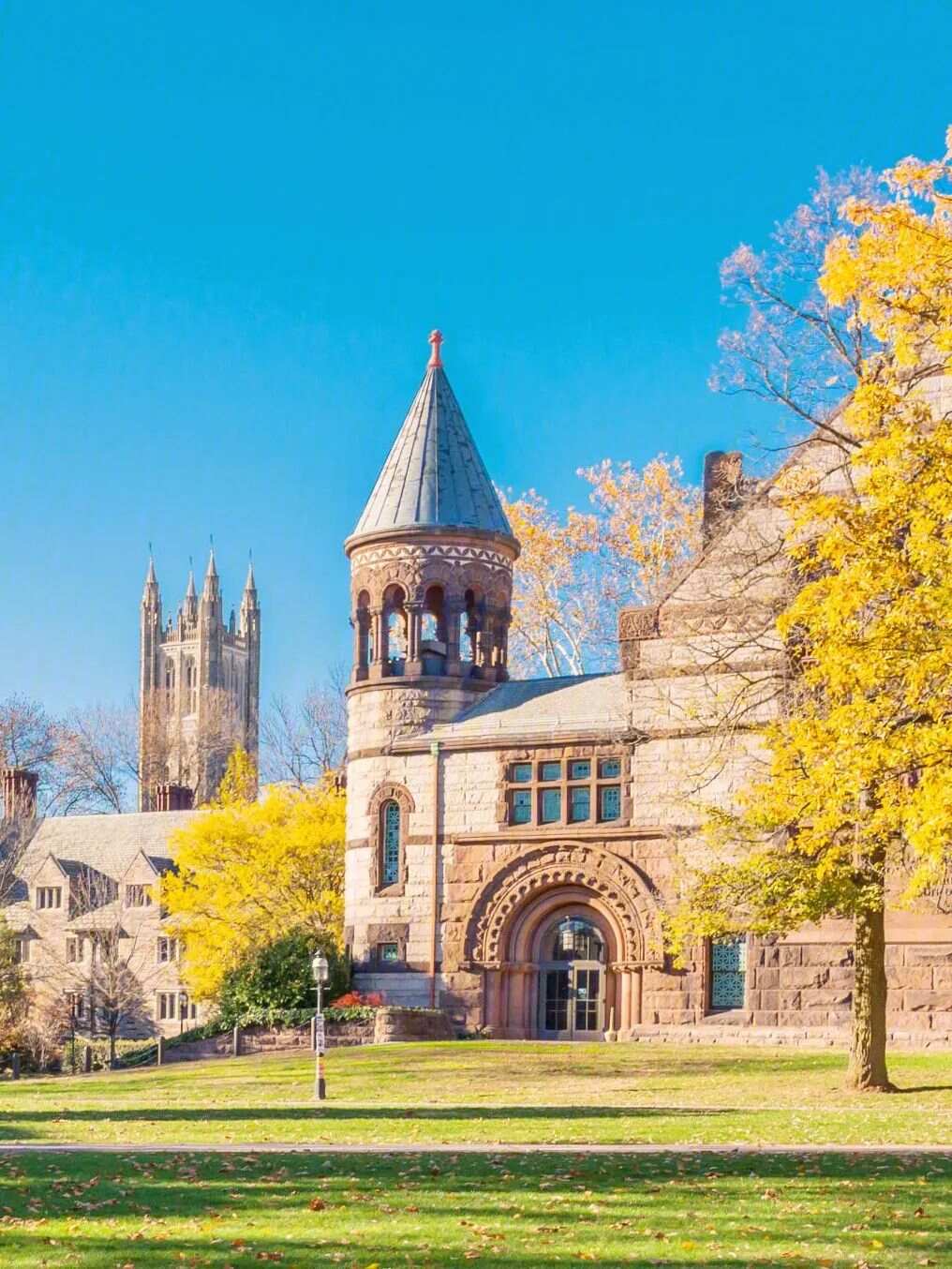 佛罗里达国际大学